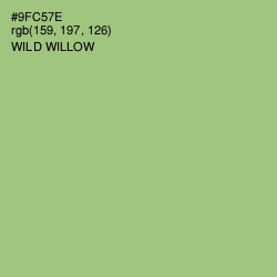 #9FC57E - Wild Willow Color Image