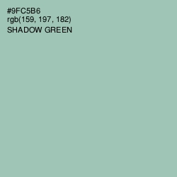 #9FC5B6 - Shadow Green Color Image