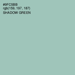 #9FC5BB - Shadow Green Color Image