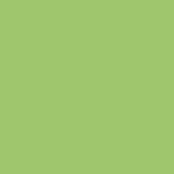 #9FC66D - Wild Willow Color Image