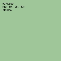 #9FC699 - Feijoa Color Image