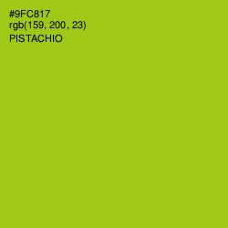 #9FC817 - Pistachio Color Image