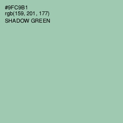 #9FC9B1 - Shadow Green Color Image