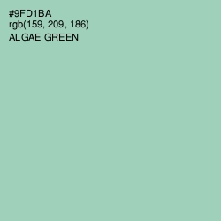 #9FD1BA - Algae Green Color Image