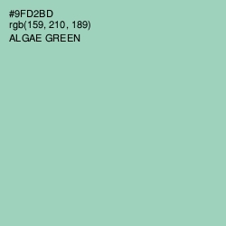 #9FD2BD - Algae Green Color Image