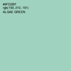 #9FD2BF - Algae Green Color Image