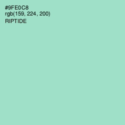 #9FE0C8 - Riptide Color Image