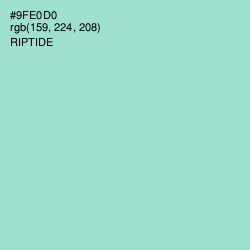 #9FE0D0 - Riptide Color Image