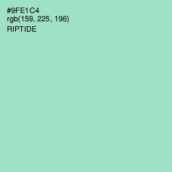 #9FE1C4 - Riptide Color Image