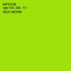 #9FE20B - Inch Worm Color Image