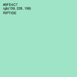 #9FE4C7 - Riptide Color Image