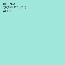 #9FE7DA - Riptide Color Image