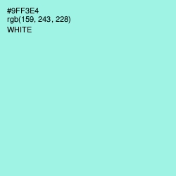 #9FF3E4 - Anakiwa Color Image