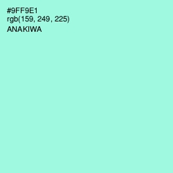 #9FF9E1 - Anakiwa Color Image