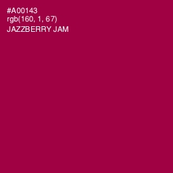 #A00143 - Jazzberry Jam Color Image