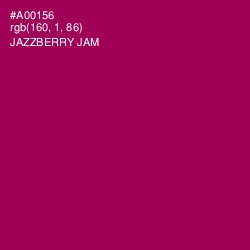 #A00156 - Jazzberry Jam Color Image