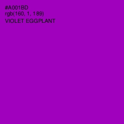 #A001BD - Violet Eggplant Color Image