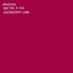 #A00340 - Jazzberry Jam Color Image