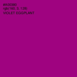 #A00380 - Violet Eggplant Color Image