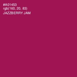 #A01453 - Jazzberry Jam Color Image