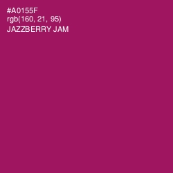 #A0155F - Jazzberry Jam Color Image