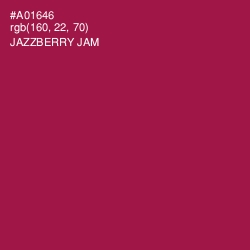 #A01646 - Jazzberry Jam Color Image