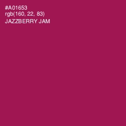 #A01653 - Jazzberry Jam Color Image