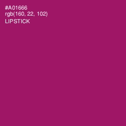 #A01666 - Lipstick Color Image