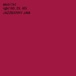 #A01741 - Jazzberry Jam Color Image