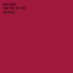 #A0183C - Shiraz Color Image