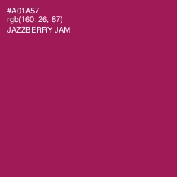 #A01A57 - Jazzberry Jam Color Image