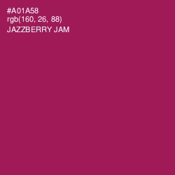 #A01A58 - Jazzberry Jam Color Image