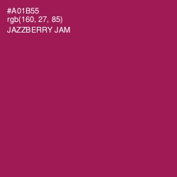 #A01B55 - Jazzberry Jam Color Image