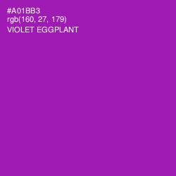 #A01BB3 - Violet Eggplant Color Image