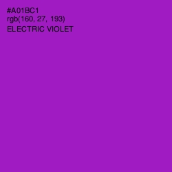 #A01BC1 - Electric Violet Color Image