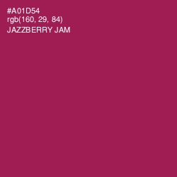 #A01D54 - Jazzberry Jam Color Image