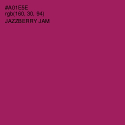 #A01E5E - Jazzberry Jam Color Image