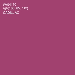 #A04170 - Cadillac Color Image