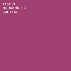 #A04171 - Cadillac Color Image