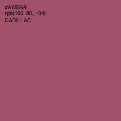 #A05068 - Cadillac Color Image