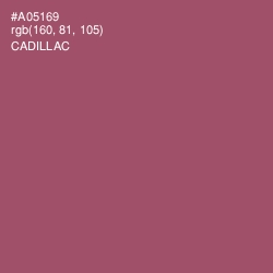 #A05169 - Cadillac Color Image
