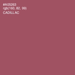 #A05263 - Cadillac Color Image