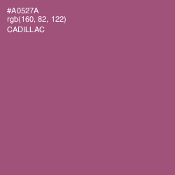 #A0527A - Cadillac Color Image