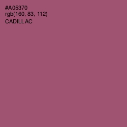 #A05370 - Cadillac Color Image