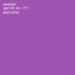 #A053B1 - Wisteria Color Image