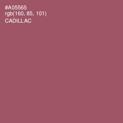 #A05565 - Cadillac Color Image
