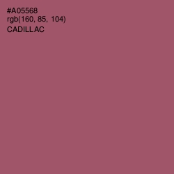 #A05568 - Cadillac Color Image