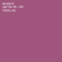 #A0557D - Cadillac Color Image