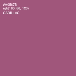 #A0567B - Cadillac Color Image