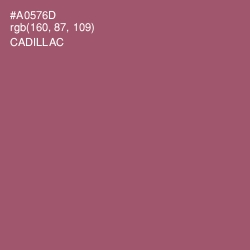 #A0576D - Cadillac Color Image